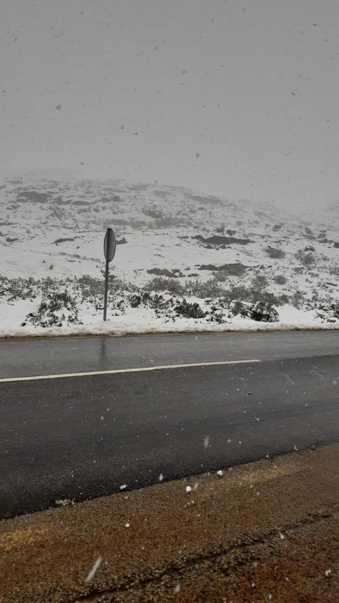 Serra Da Estrela - Casa Castro Гоувея Екстериор снимка